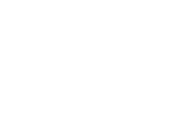 HAE logo wht