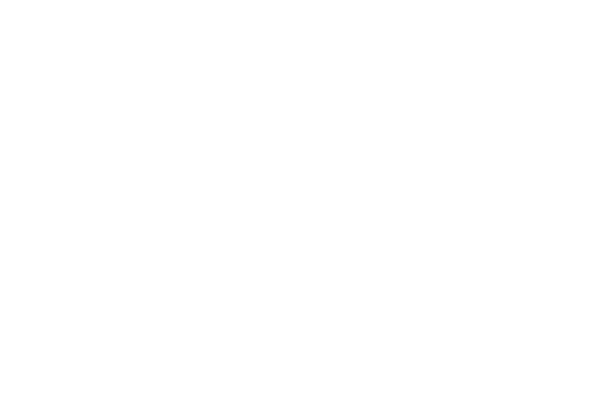 amber lakes logo wht