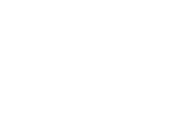 google logo wht